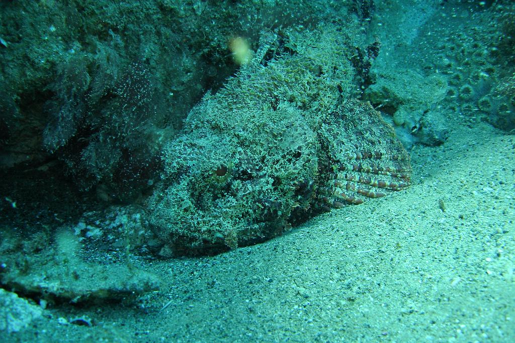 2008-05-19 17-05-53.jpg